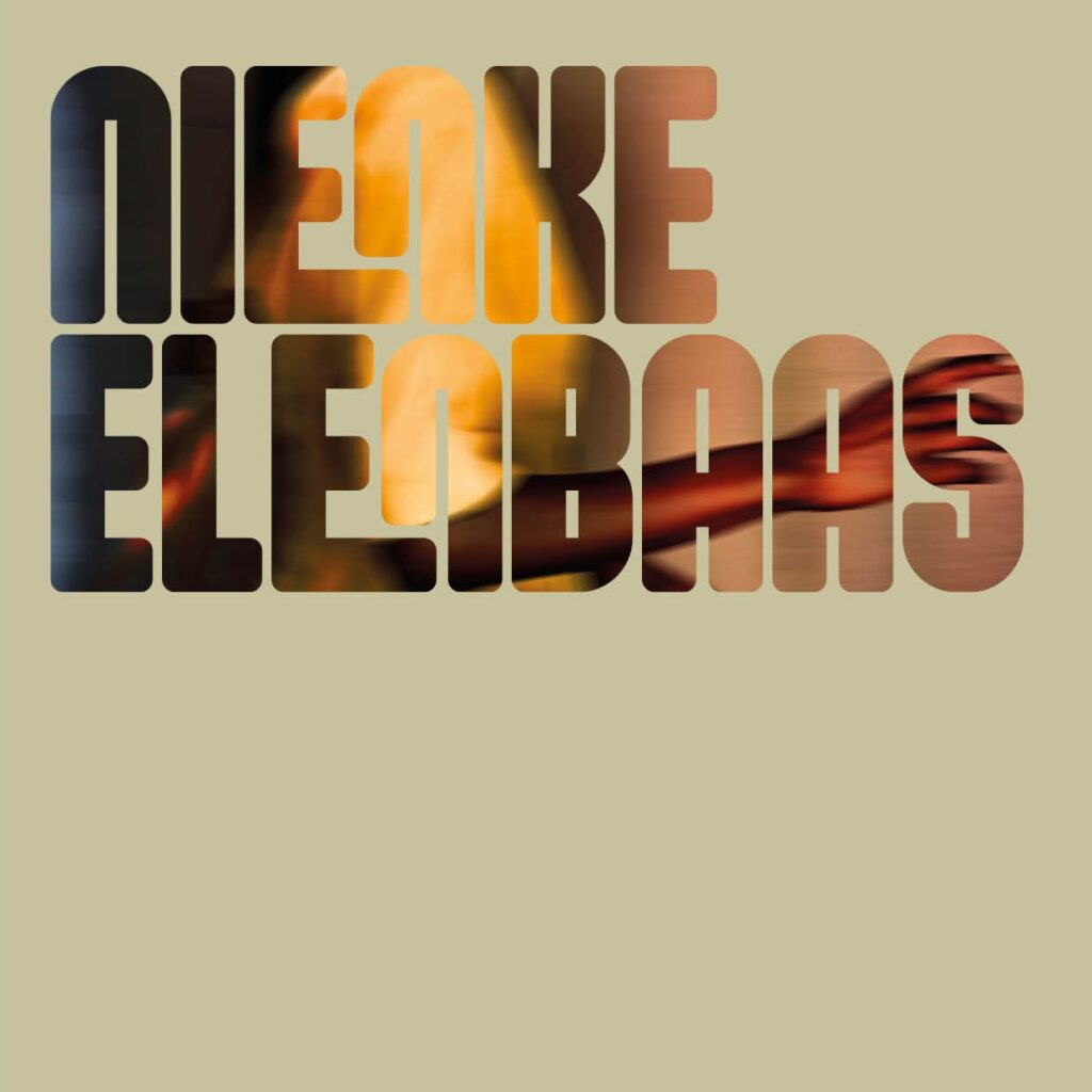 NienkeElenbaas