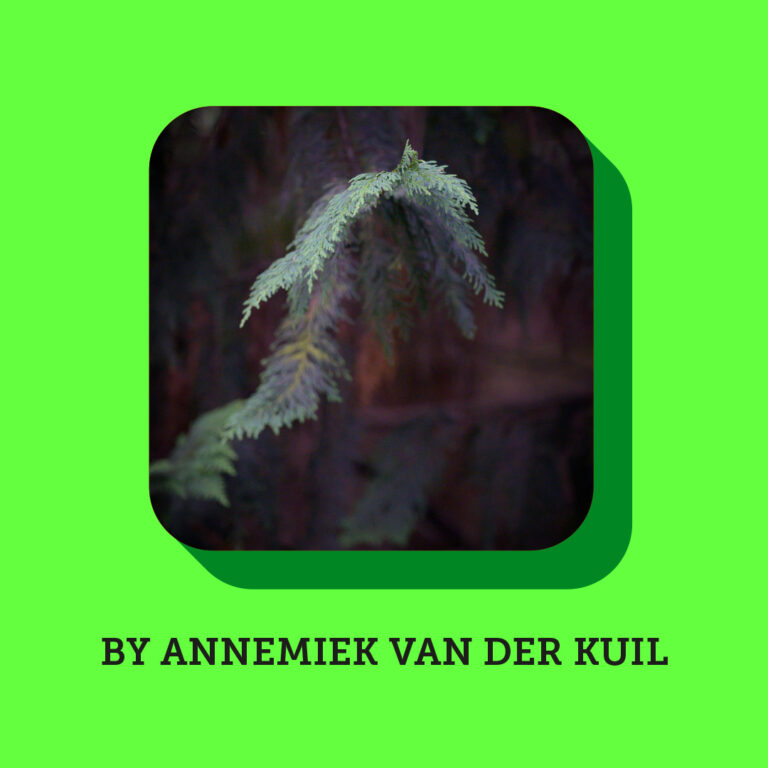 Annemiek van der Kuil 2026 engels