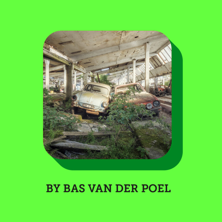Bas van der Poel 2026 engels