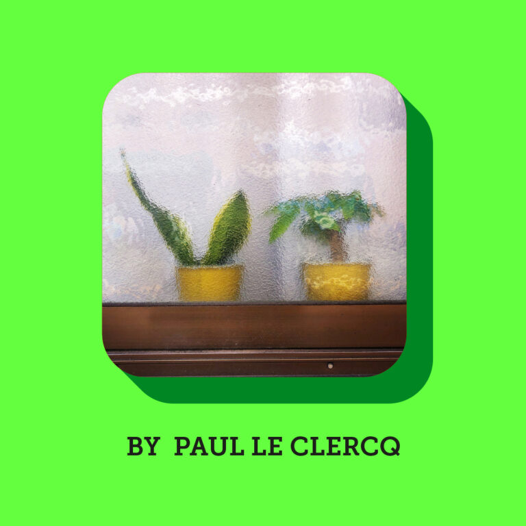 Paul Le Clercq 2026 engels