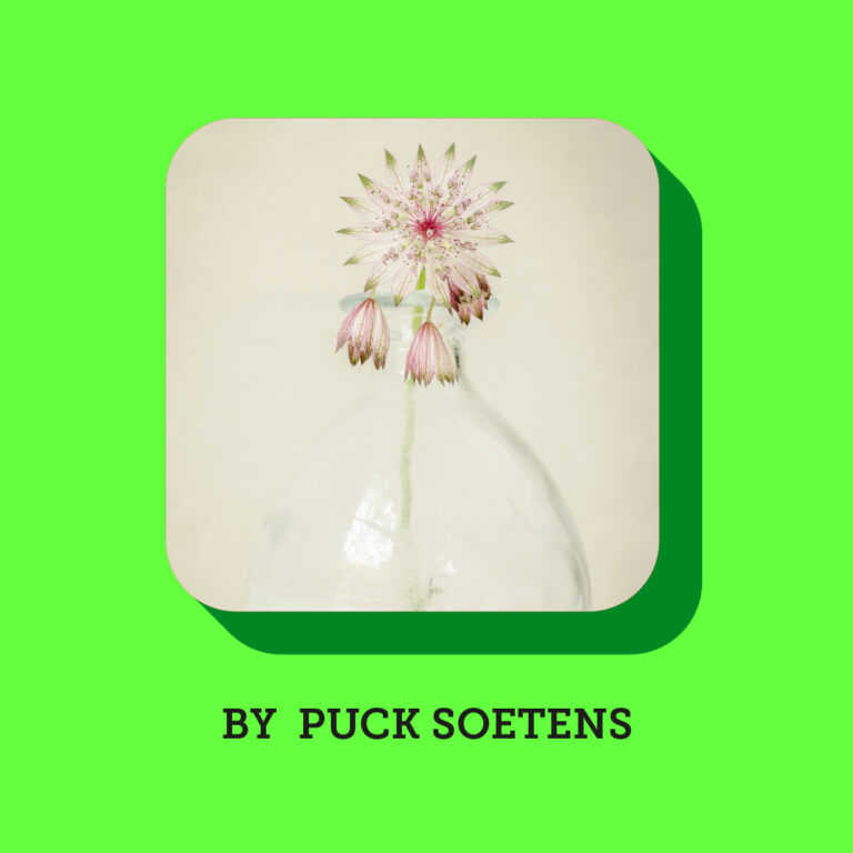 Puck Soetens 2026 engels