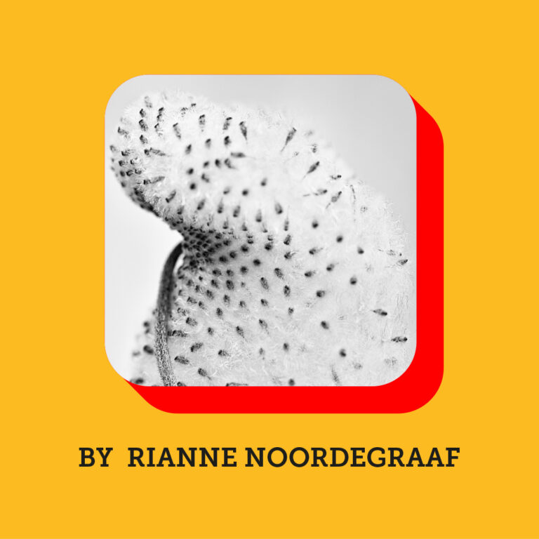 Rianne Noordegraaf 2026 engels